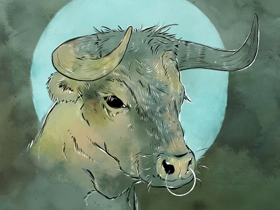 Bull Season animal bull horoscope illustration taurus zodiac