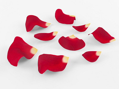 3D Rose Petals