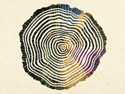 Tree Rings art book book cover color illustration texture tree tree rings