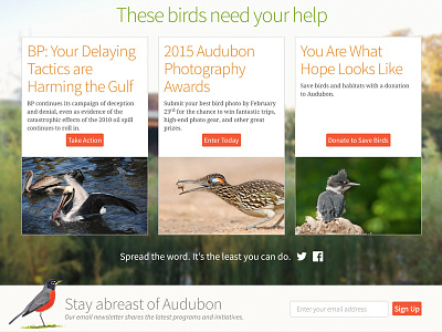 Stay Abreast audubon birds fundraising mule design nature non profit photography