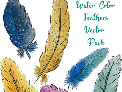 Water Color Feathers Vector Pack feather vectors feathers hand drawn feathers vector vector pack water color watercolor feathers