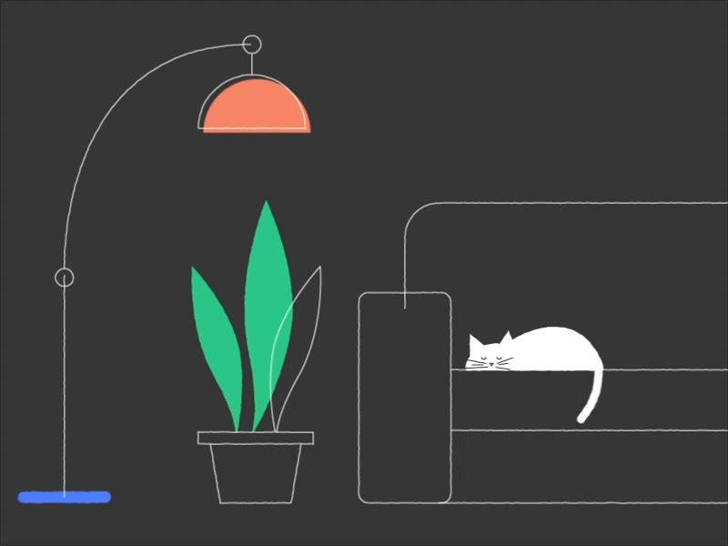 Sleeping cat after effect animal cat character chill couch duik gif illustration living room loop motion graphic outline sleep