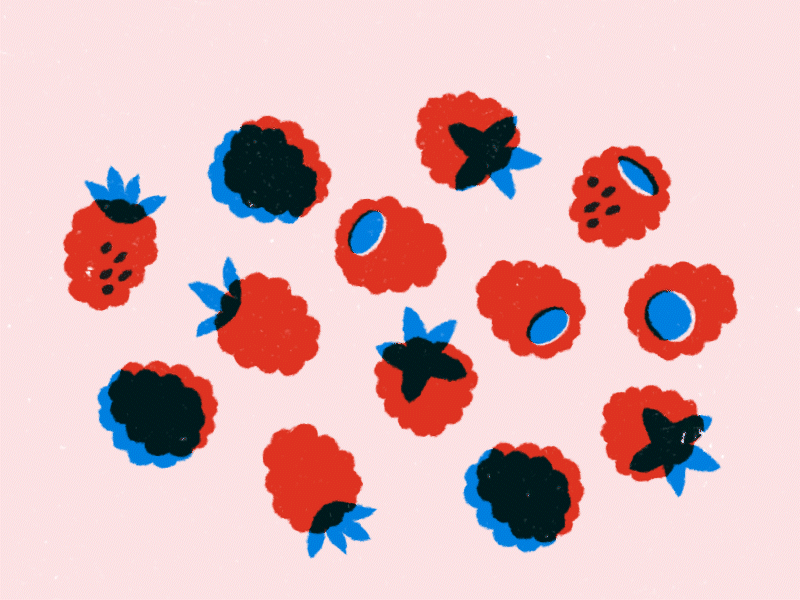 Fruit after effects animation branding design fruit graphic design illustration raspberry simple summer ui vector