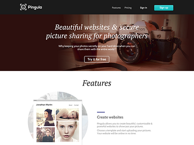 Pingula Home design landing page photography ui ux webdesign
