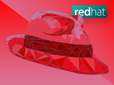 Redhat Illustration 3d angle clean color design fold graphic illustration polygon
