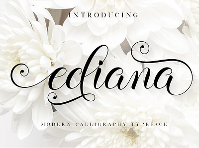 ediana script graphic design