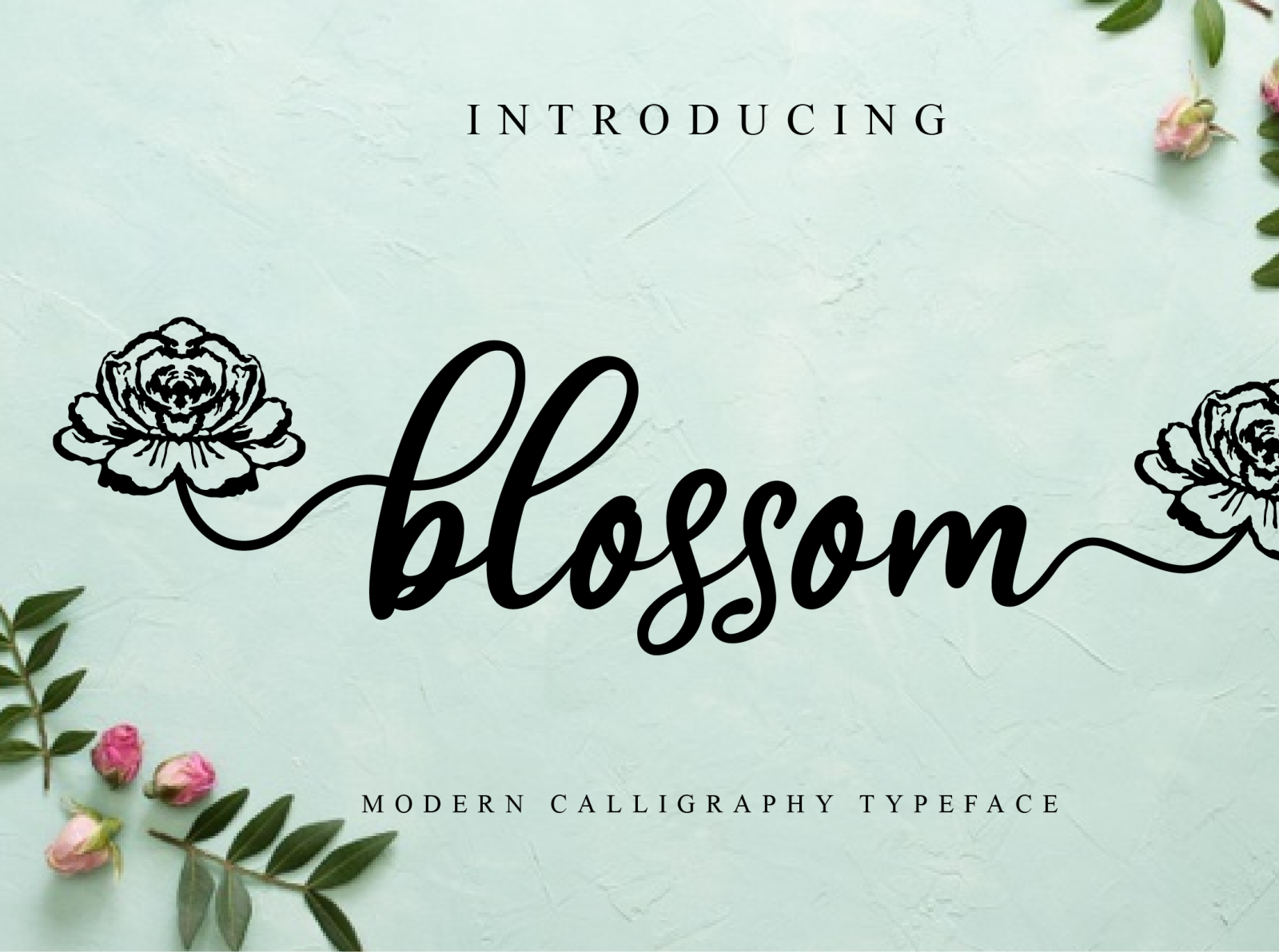 blossom by Fanastudio on Dribbble