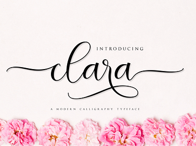 clara script banner