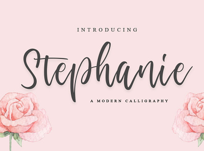 Stephanie banner