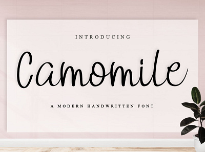 Camomile banner business card handwritten logo