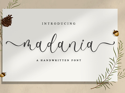 madania script banner