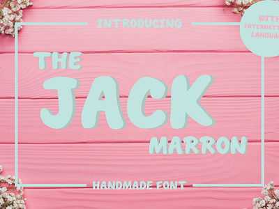 THE JACK MARRON DISPLAY FONT adorable charming cute display font font handdrawn handwriting pretty scandinavian serif slab sweet