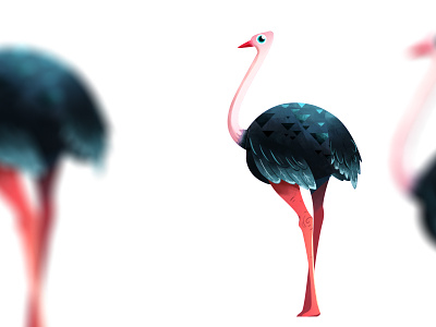 Ostrich Aint Fly character design explainervideo illustration photoshop