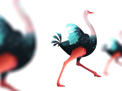 Ostrich Run art bird birds characterdesign illustration ostrich photoshop