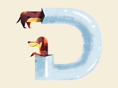D for Dachshund dachshund dog illustration