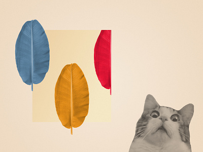 Banana leaves and heavy breathing cat collage colorful leaf meme minimal pastel rebound