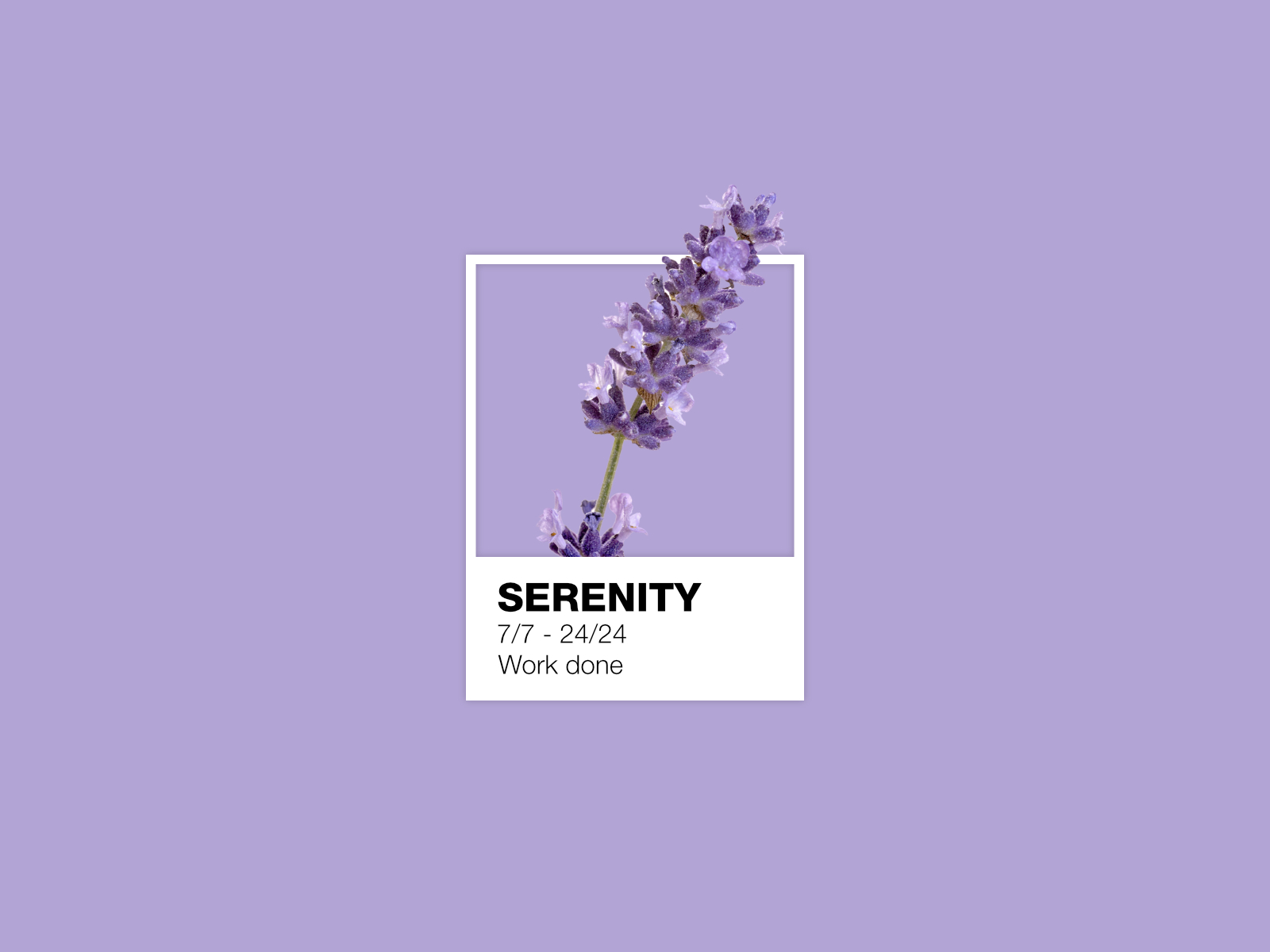 the-scent-of-calm-by-manase-on-dribbble