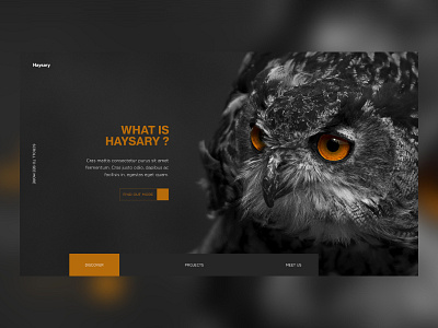 Landing Page UI Concept