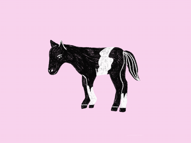 Ponytail — Inktober '22 2d animation horse illustration inktober pony ponytail procreate
