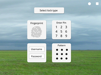 Lock Type selection fingerprint linux windows xp