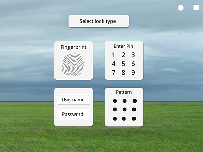 Lock Type selection fingerprint linux windows xp