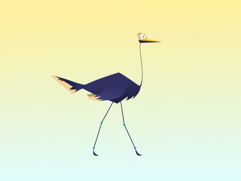 Ostrich 2d 2d animation after effects animation bird motion design ostrich walk cycle