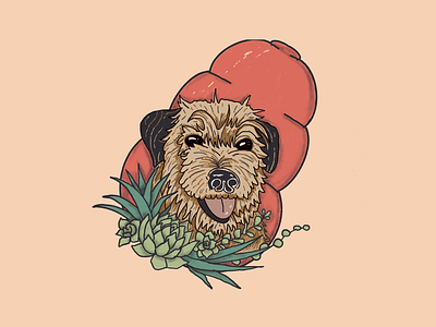 Soda Pup drawing illustration pet pet portrait plants portrait procreate succulents tattoo traditional