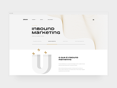 GRAN Website design illustration interface logo portfolio site typography ui ux web