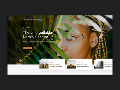 Visual concept for New African Frontiers website africa design interface nature site ui ux web