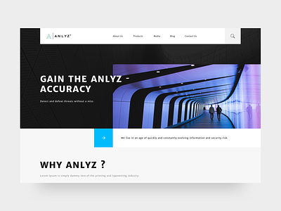 Anlyz Website concept design interface portfolio site ui ux web