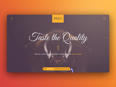 Website design for online honey store