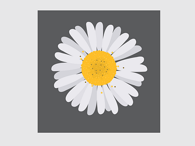 1 Daisy