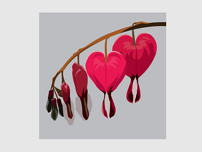 8 Bleeding Hearts design flat flower flower illustration illustration illustrator vector