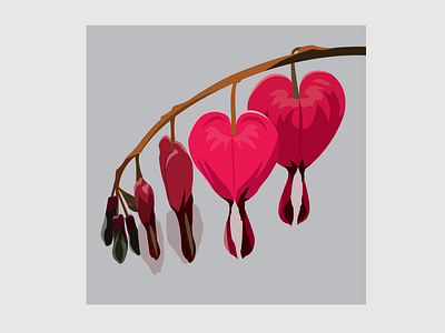 8 Bleeding Hearts