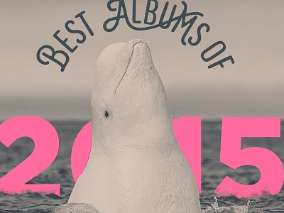 2015 Best Of 2015 beluga best of cover whale