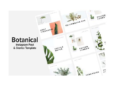 Botanical Instagram Template design inspiration instagram instagram post instagram stories instagram template ppt template design templates