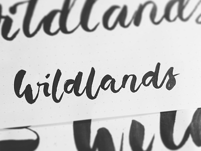 wildlands brush lettering calligraphy ink