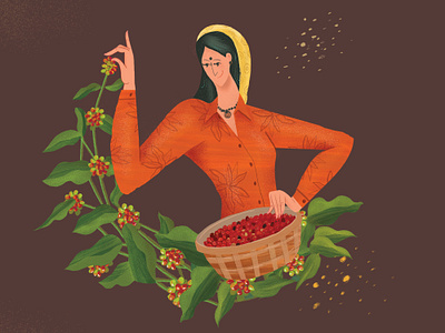 The Coffee Picker artisan coffee coffeebean illustraion