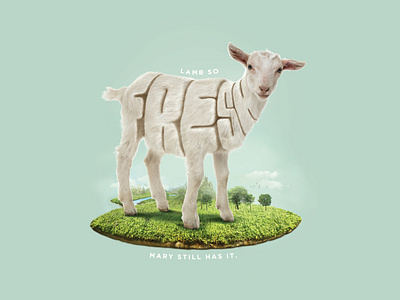 Lamb So Fresh! advertising campaign fresh illustraion lamb typography