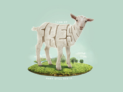 Lamb So Fresh!