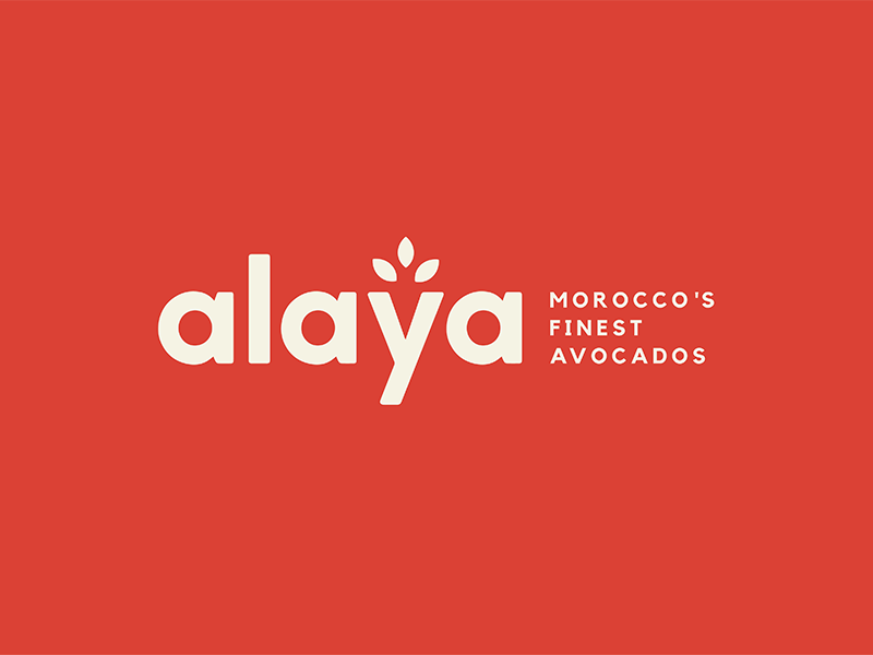 Alaya avocados branding branding and identity branding design design food logo pattern pattern food print