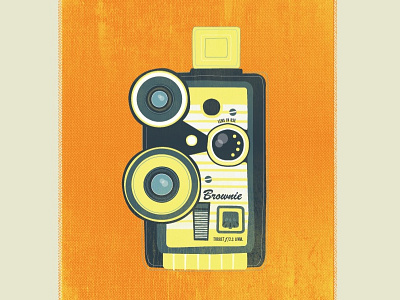Brownie illustration old cameras vector