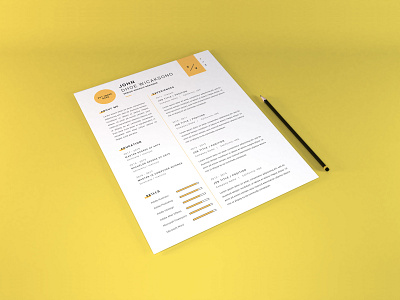 Curriculum Vitae Mockup Vol 2 application business company corporate cover curriculum cv document infographic layout letter mockup paper professional profile resume template vitae