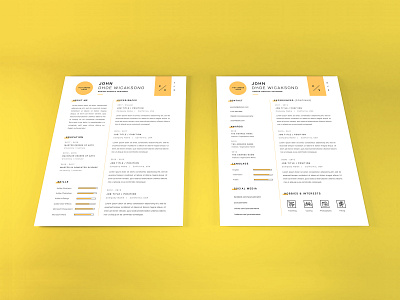 Curriculum Vitae Mockup Vol 3 application business company corporate cover curriculum cv document infographic layout letter mockup paper professional profile resume template vitae