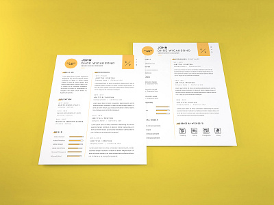 Curriculum Vitae Mockup Vol 4 application business company corporate cover curriculum cv document infographic layout letter mockup paper professional profile resume template vitae
