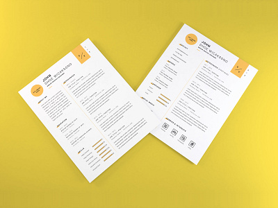 Curriculum Vitae Mockup Vol 5 (Freebie)