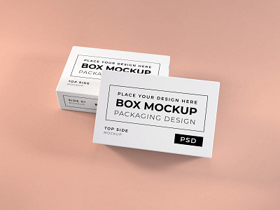 Long Box Mockup Vol 5 (Freebie)