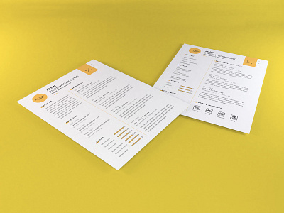 Download Curriculum Vitae Mockup Vol 9