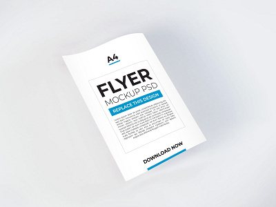 Download Flyer Mockup Vol 12