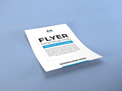 Download Flyer Mockup Vol 13